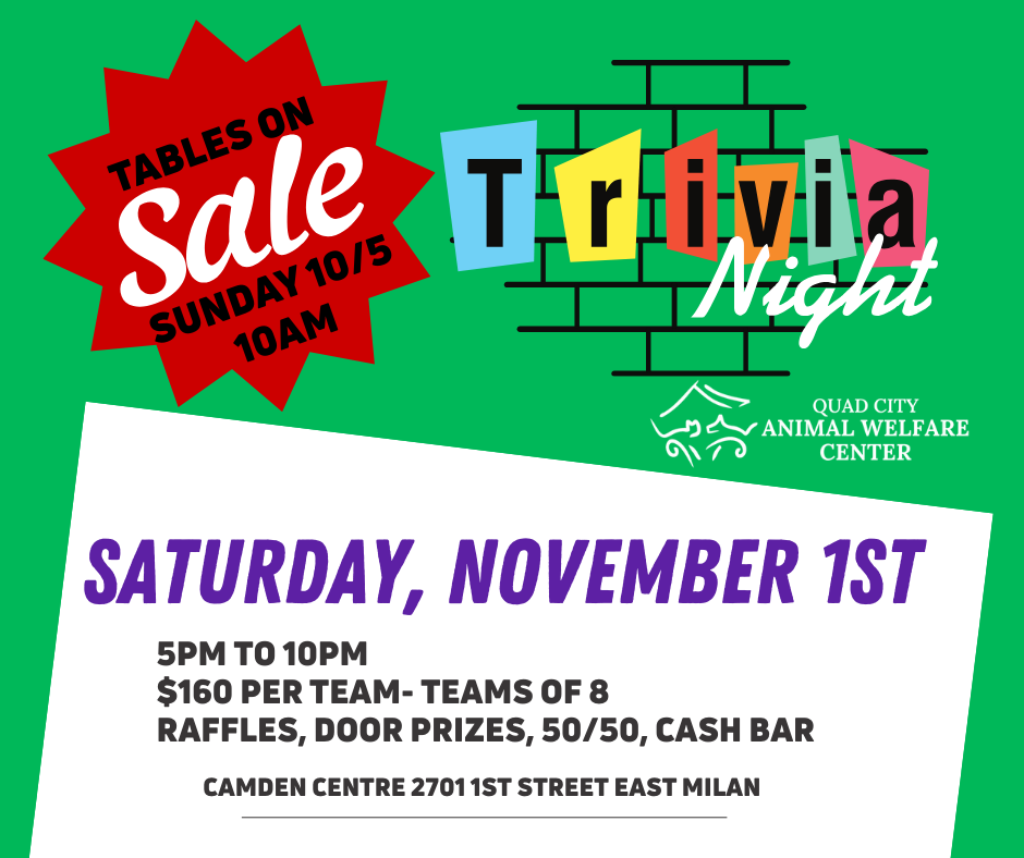 Trivia night save the date facebook post 6